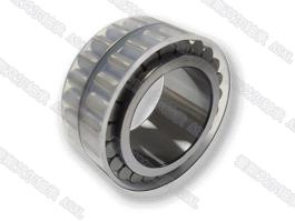 CPM2198（品牌ASAL）
